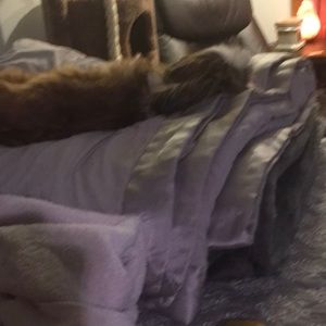 Meet your Posher, Jestine